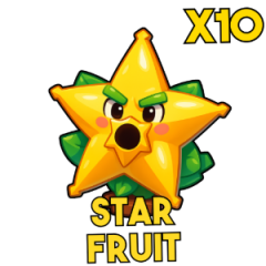 x10 Star Fruit