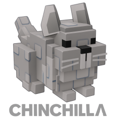 Chinchilla
