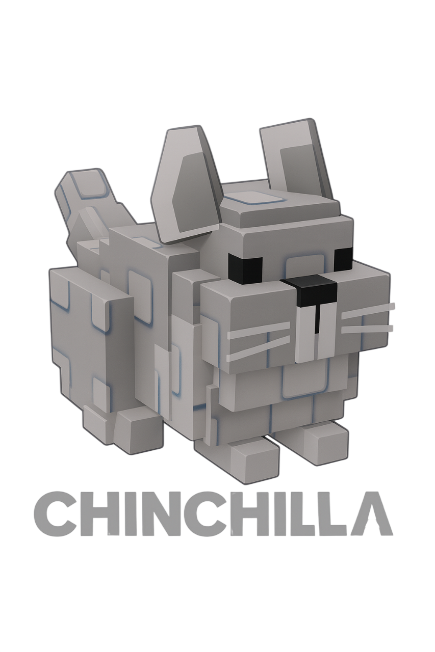 Chinchilla