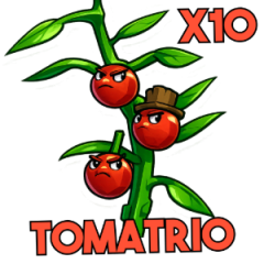 x10 Tomatrio