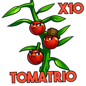 x10 Tomatrio