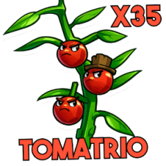 x35 Tomatrio
