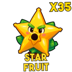 X35 Star Fruit